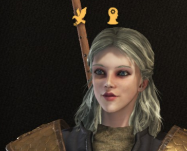 npc.PNG