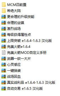 正在使用的MOD