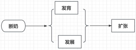 89164398d01240aa8d8ca4d448b18b01 (1).png